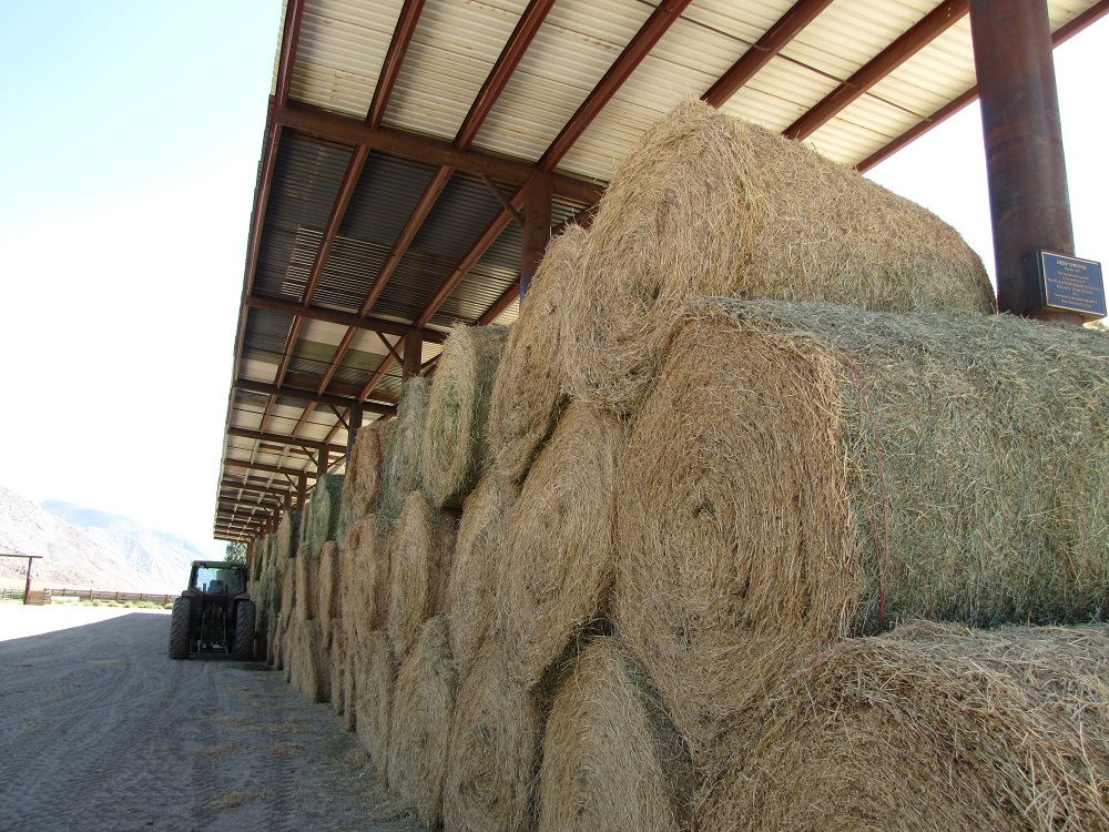 Deep Springs College to Admit Women