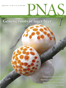 Nature vs. Nurture: Study Shows the Perceived Gender Gap in Spatial Reasoning Skills May Be Cultural in Origin