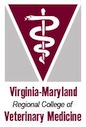Two Women Named to Veterinary Faculty at Virginia Tech