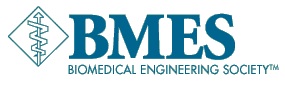 Three Women Named Fellows of the Biomedical Engineering Society
