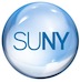Three Women Named Distinguished Professors in the State University of New York System