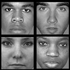Harvard Study Finds Different Neural Activity When Subjects View Male and Female Faces