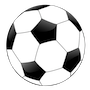 University of Washington Study Finds Many Young Girl Soccer Players Keep Playing After a Concussion