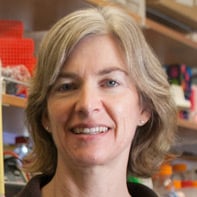 More Accolades for Berkeley’s Jennifer Doudna
