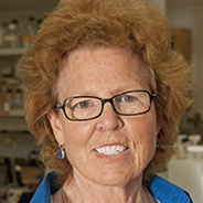 Women Faculty Members Who Have Earned Notable Honors and Awards
