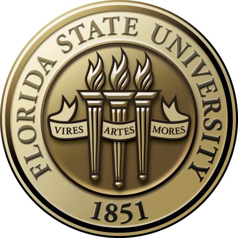 Florida State University Offering New MOOC for Social Workers on Domestic Violence