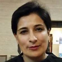 The Next Director of the John Hope Franklin Humanities Institute at Duke University