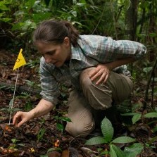 Yale’s Liza Comita to Be Honored by the British Ecological Society