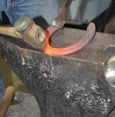 The First All-Woman Class at the Cornell University Farrier Program