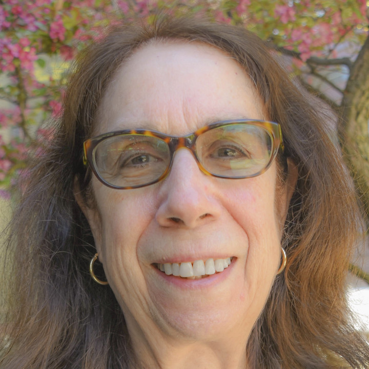 Northwestern University’s Phyllis Lyons Honored by the Japanese Government