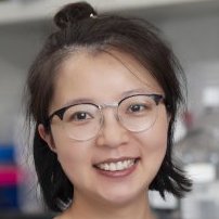 Nina Jing Awarded the Blavatnik Regional Award for Young Scientists in Chemistry
