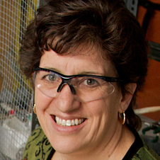 Colorado State’s Ellen Fisher Honored by the American Vacuum Society