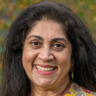 Three Women Scholars Who Have Been Appointed to Endowed Professorships