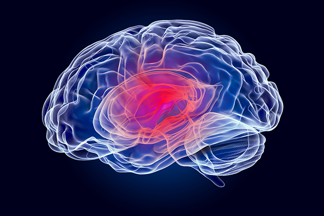 University of Virginia Study Examines Gender Differences in Recovery Time for Student-Athlete Concussions