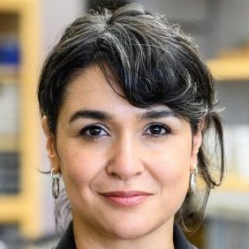 BetuÌˆl KacÌ§ar Honored by the International Society of the Study of the Origin of Life