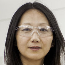 Stanford’s Zhenan Bao Is the Inaugural Winner of the $550,000 VinFuture Prize