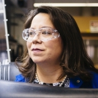 Multiple Honors for the University of California Santa Barbara’s Rachel Segalman