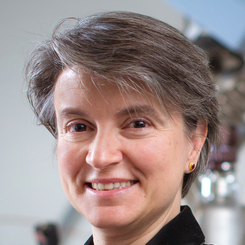 MIT’s Bilge Yildiz Has Been Awarded the Rahmi M. KocÌ§ Medal of Science