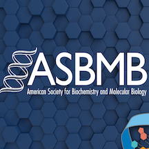 Three Women to Be Honored by the American Society for Biochemistry and Molecular Biology