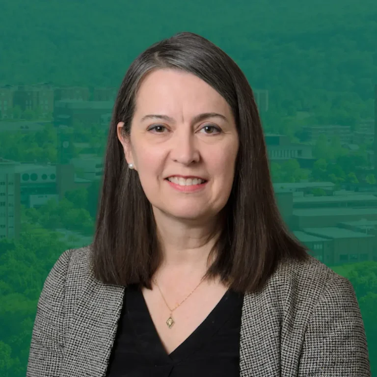 Anne D’Alleva Appointed President of Binghamton University in New York