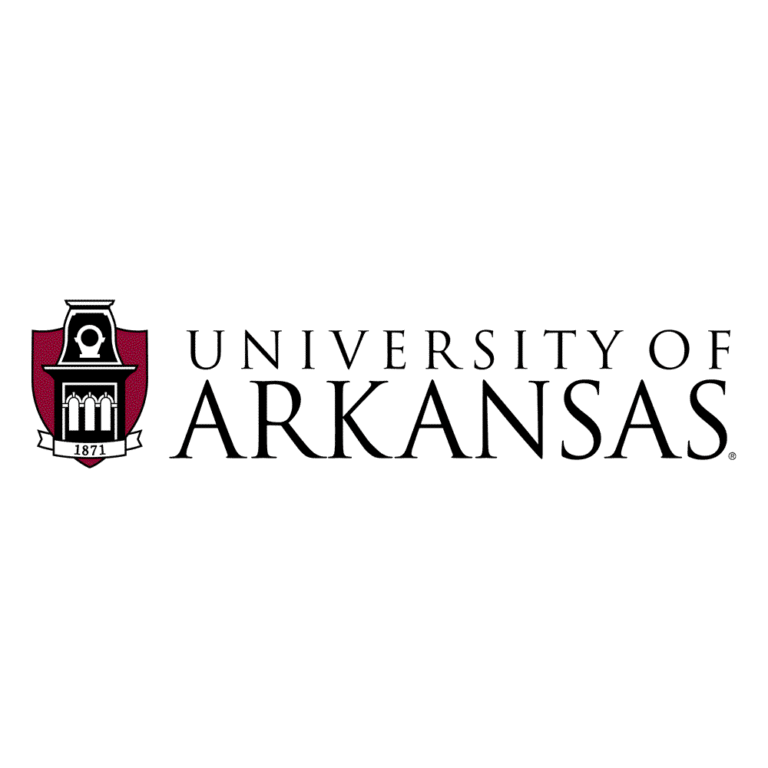 A Trio of Women Appointed to Endowed Professorships at the University of Arkansas Law School