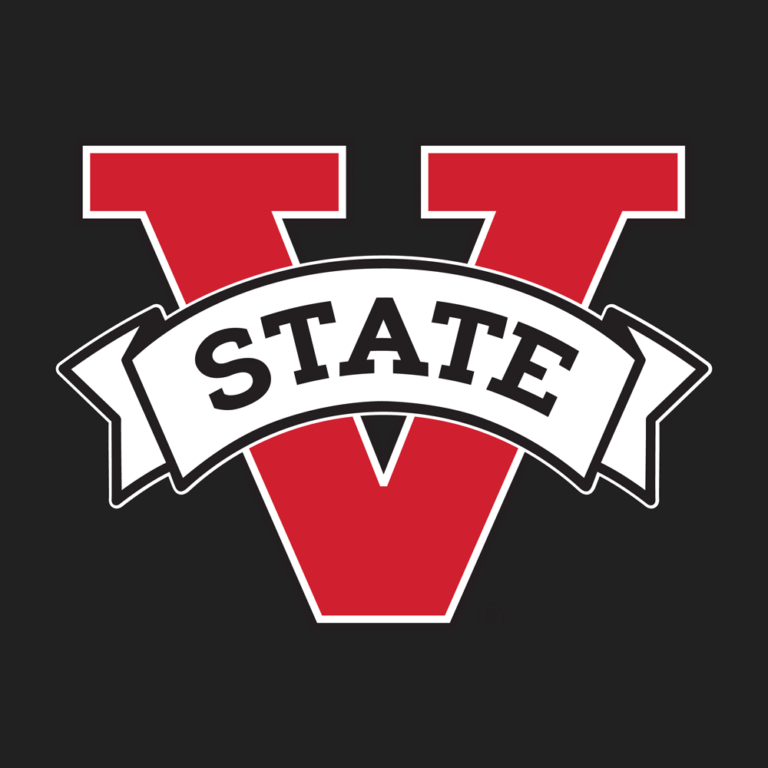 Three Women Promoted to Full Professor at Valdosta State University in Georgia